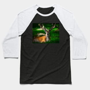 stag 3 Baseball T-Shirt